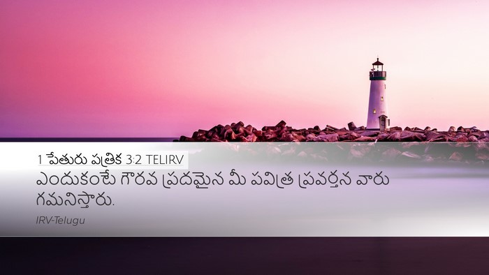 1 పేతురు పత్రిక 3:2 TELIRV Bible Verse Image