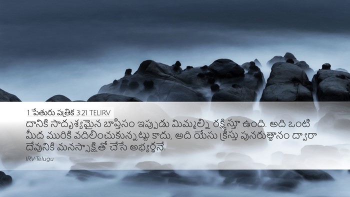1 పేతురు పత్రిక 3:21 TELIRV Bible Verse Image