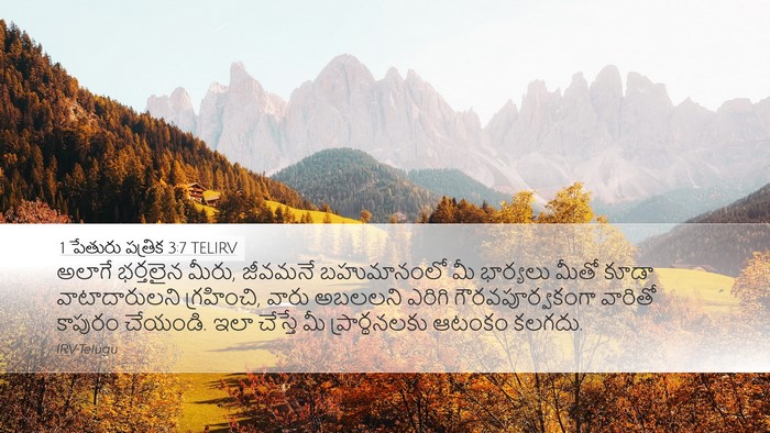 1 పేతురు పత్రిక 3:7 TELIRV Bible Verse Image