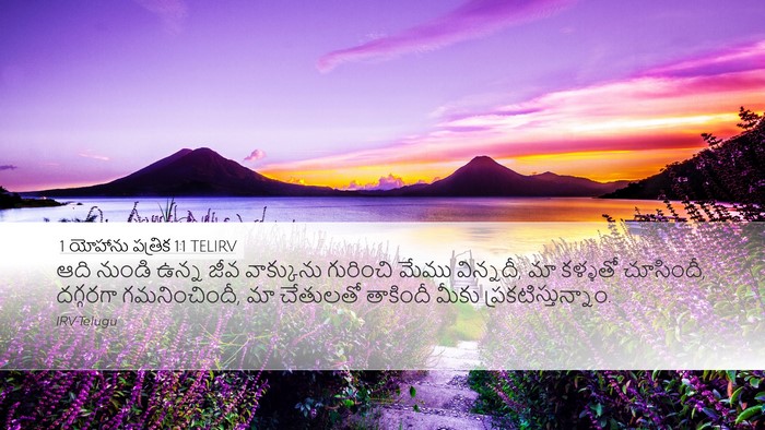 1 యోహాను పత్రిక 1:1 TELIRV Bible Verse Image