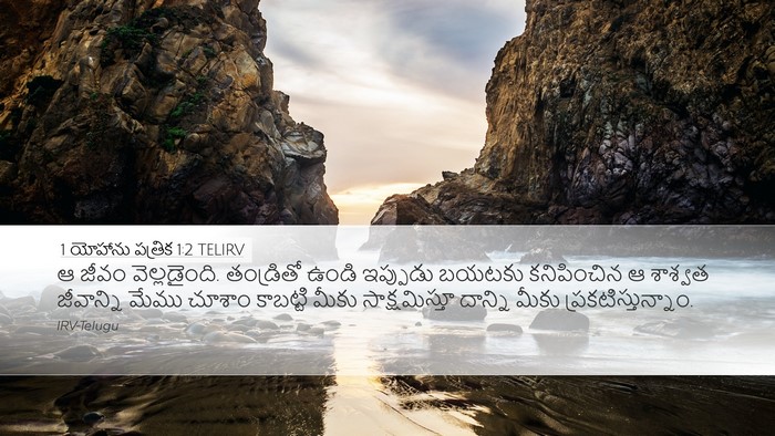 1 యోహాను పత్రిక 1:2 TELIRV Bible Verse Image