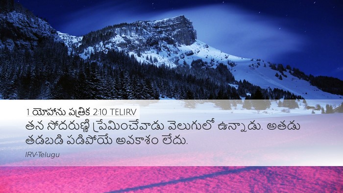 1 యోహాను పత్రిక 2:10 TELIRV Bible Verse Image
