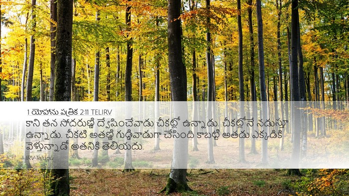 1 యోహాను పత్రిక 2:11 TELIRV Bible Verse Image