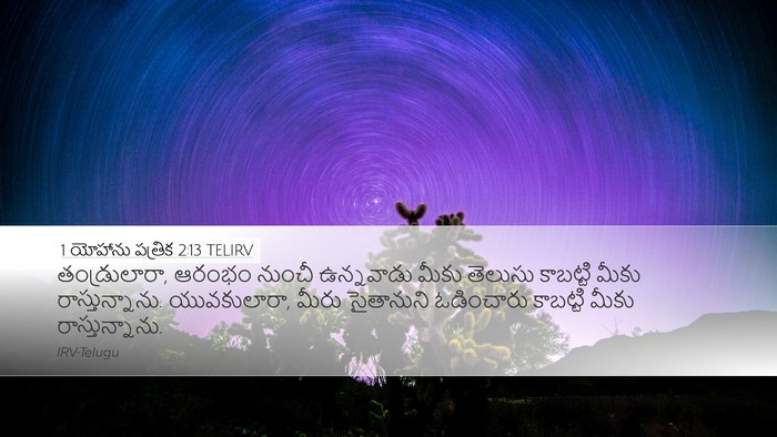 1 యోహాను పత్రిక 2:13 TELIRV Bible Verse Image