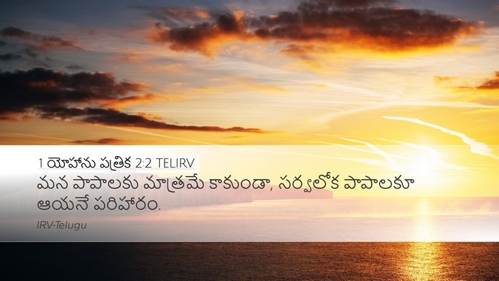 1 యోహాను పత్రిక 2:2 TELIRV Bible Verse Image