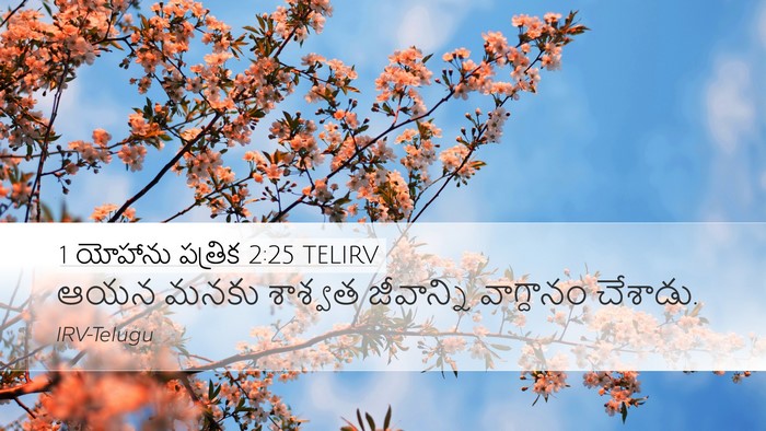 1 యోహాను పత్రిక 2:25 TELIRV Bible Verse Image