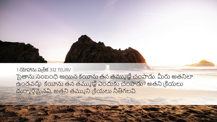 1 యోహాను పత్రిక 3:12 TELIRV Bible Verse Image