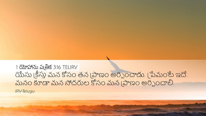 1 యోహాను పత్రిక 3:16 TELIRV Bible Verse Image