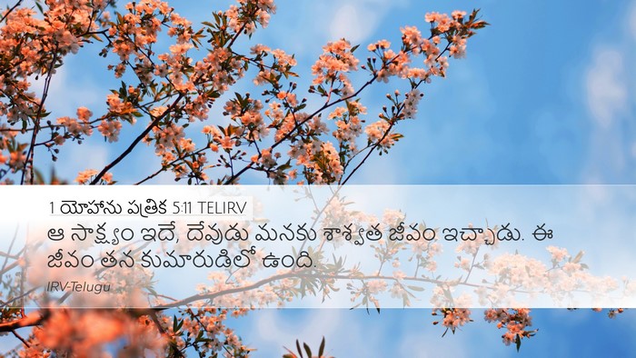 1 యోహాను పత్రిక 5:11 TELIRV Bible Verse Image