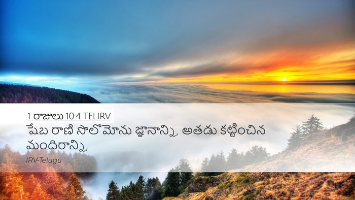 1 రాజులు 10:4 TELIRV Desktop Wallpaper - షేబ రాణి సొలొమోను - Desktop Bible Verse Wallpaper