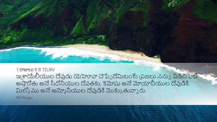 1 రాజులు 11:31 TELIRV Bible Verse Image