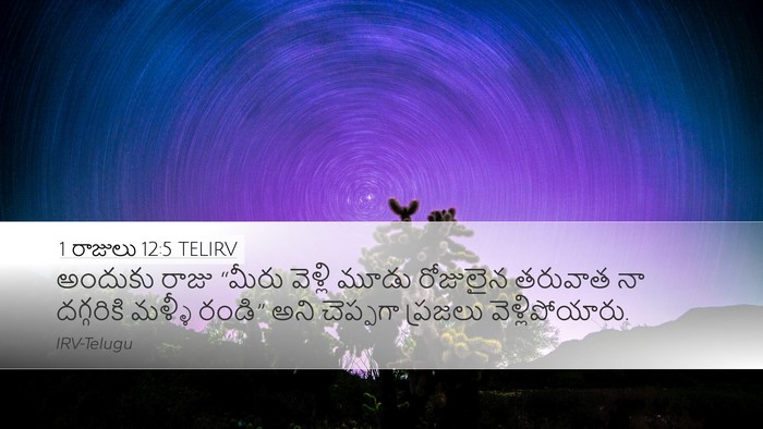 1 రాజులు 12:5 TELIRV Bible Verse Image