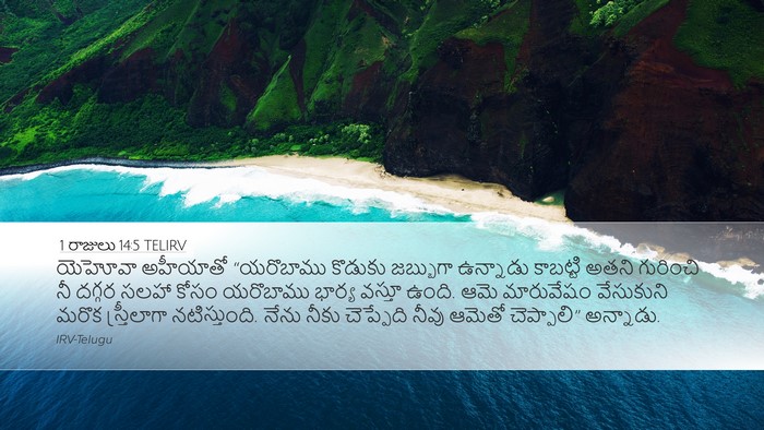 1 రాజులు 14:5 TELIRV Bible Verse Image