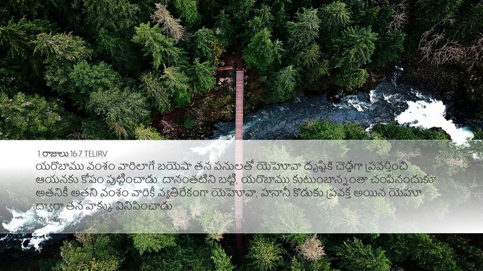 1 రాజులు 16:7 TELIRV Bible Verse Image