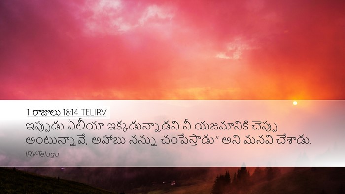 1 రాజులు 18:14 TELIRV Bible Verse Image