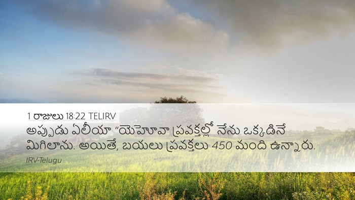 1 రాజులు 18:22 TELIRV Bible Verse Image