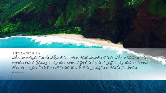 1 రాజులు 19:19 TELIRV Bible Verse Image