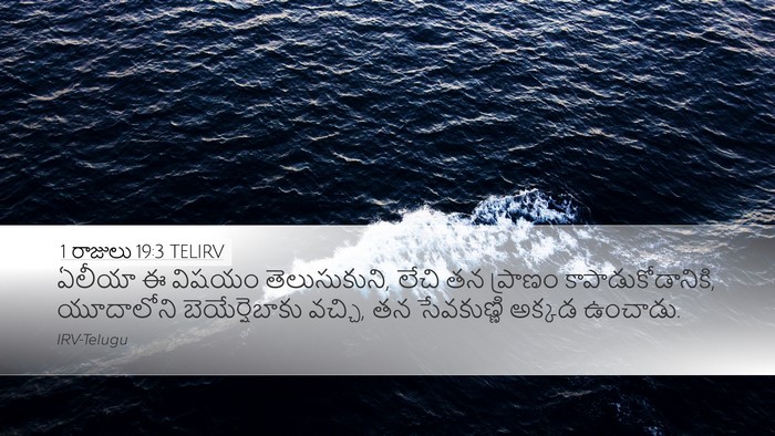1 రాజులు 19:3 TELIRV Bible Verse Image