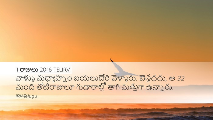 1 రాజులు 20:16 TELIRV Bible Verse Image