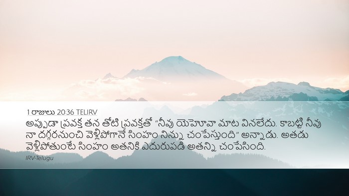 1 రాజులు 20:36 TELIRV Bible Verse Image