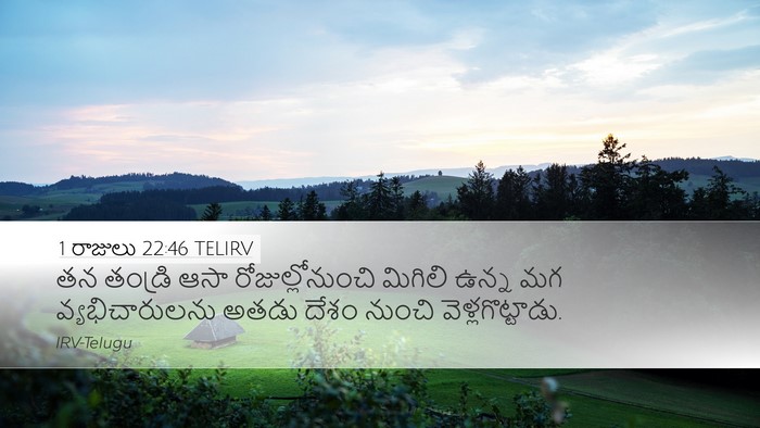1 రాజులు 22:46 TELIRV Bible Verse Image