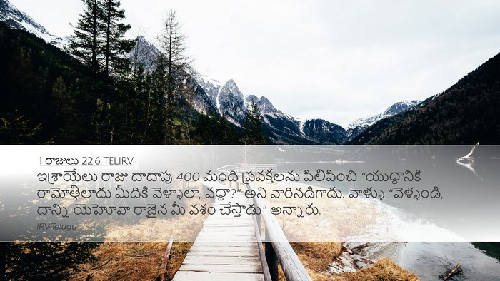 1 రాజులు 22:6 TELIRV Bible Verse Image