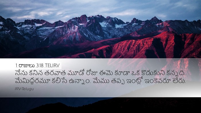 1 రాజులు 3:18 TELIRV Desktop Wallpaper - నేను కనిన తరవాత - Desktop Bible Verse Wallpaper