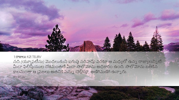 1 రాజులు 4:21 TELIRV Bible Verse Image