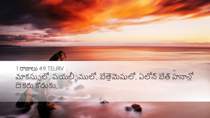 1 రాజులు 4:9 TELIRV Bible Verse Image