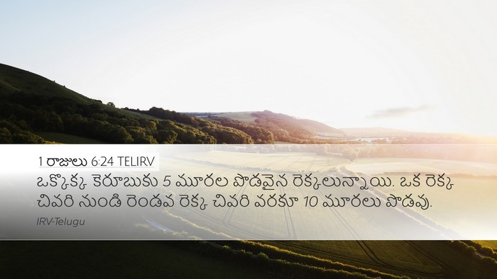 1 రాజులు 6:24 TELIRV Bible Verse Image