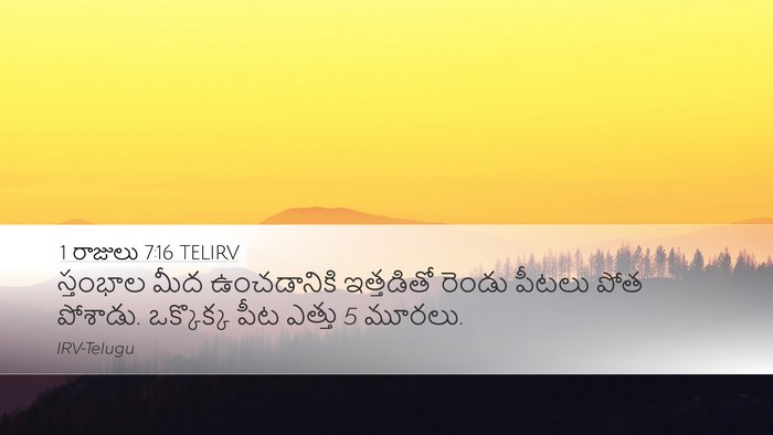 1 రాజులు 7:16 TELIRV Bible Verse Image