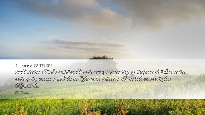 1 రాజులు 7:8 TELIRV Desktop Wallpaper - సొలొమోను లోపలి - Desktop Bible Verse Wallpaper
