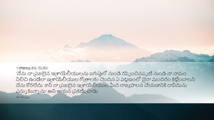 1 రాజులు 8:16 TELIRV Bible Verse Image