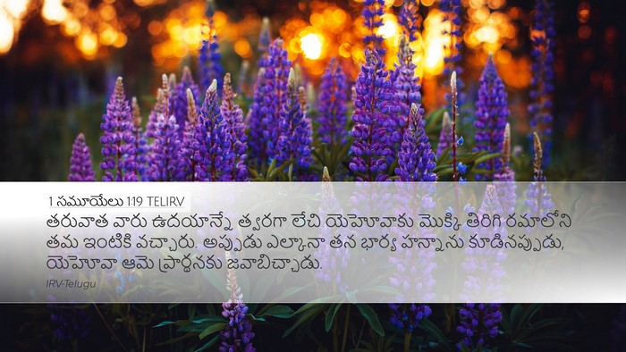 1 సమూయేలు 1:19 TELIRV Bible Verse Image