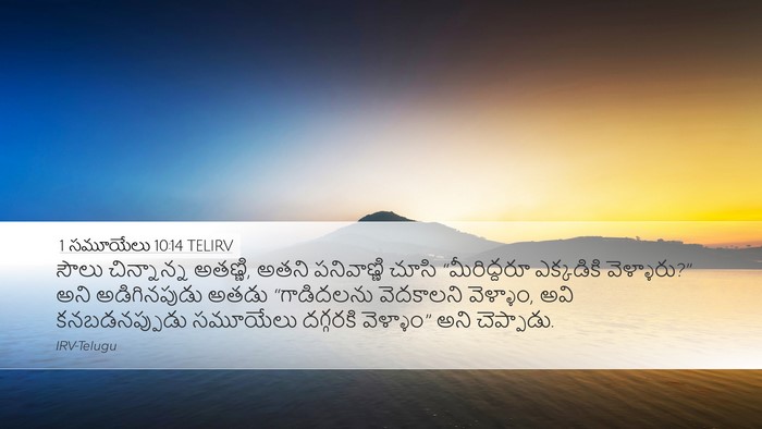 1 సమూయేలు 10:14 TELIRV Desktop Wallpaper - సౌలు చిన్నాన్న - Desktop Bible Verse Wallpaper