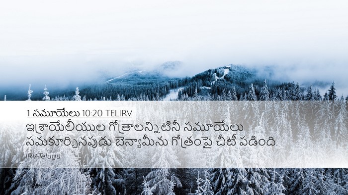 1 సమూయేలు 10:20 TELIRV Bible Verse Image