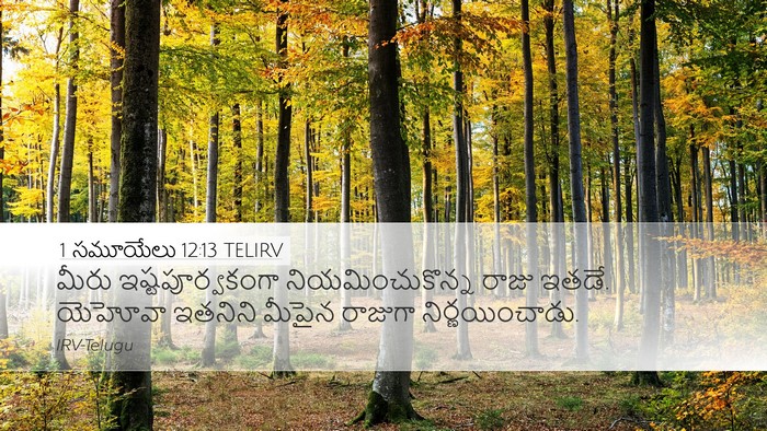 1 సమూయేలు 12:13 TELIRV Bible Verse Image