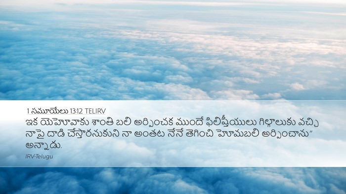1 సమూయేలు 13:12 TELIRV Bible Verse Image