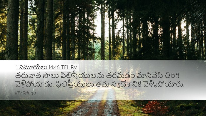 1 సమూయేలు 14:46 TELIRV Bible Verse Image