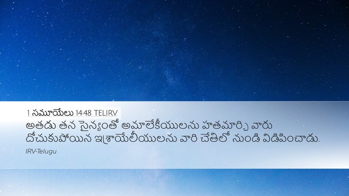 1 సమూయేలు 14:48 TELIRV Bible Verse Image