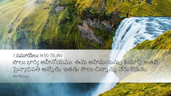 1 సమూయేలు 14:50 TELIRV Bible Verse Image