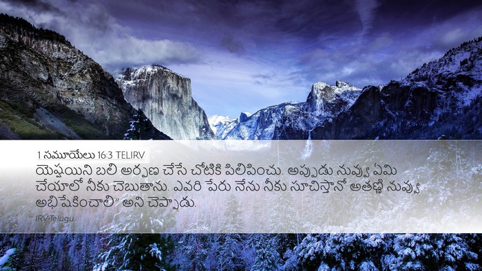 1 సమూయేలు 16:3 TELIRV Bible Verse Image