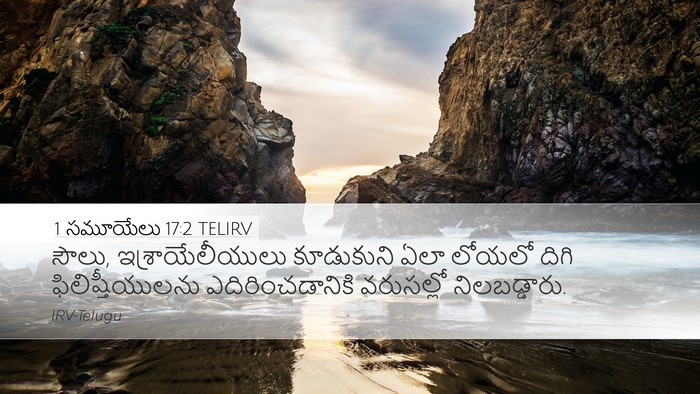 1 సమూయేలు 17:2 TELIRV Desktop Wallpaper - సౌలు, - Desktop Bible Verse Wallpaper