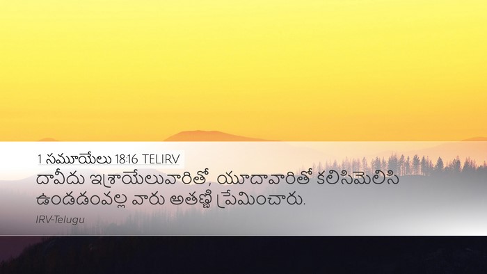 1 సమూయేలు 18:16 TELIRV Bible Verse Image