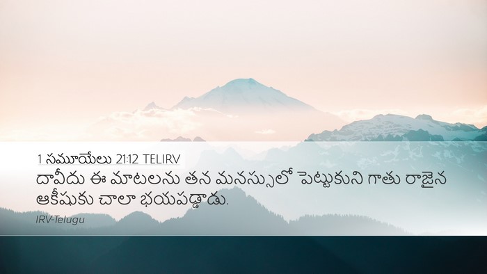 1 సమూయేలు 21:12 TELIRV Bible Verse Image