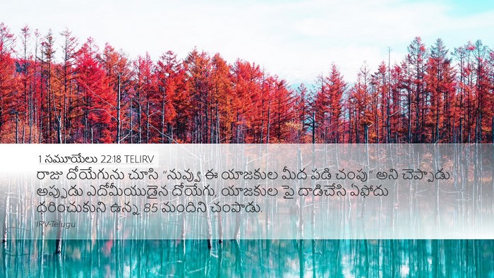 1 సమూయేలు 22:18 TELIRV Bible Verse Image
