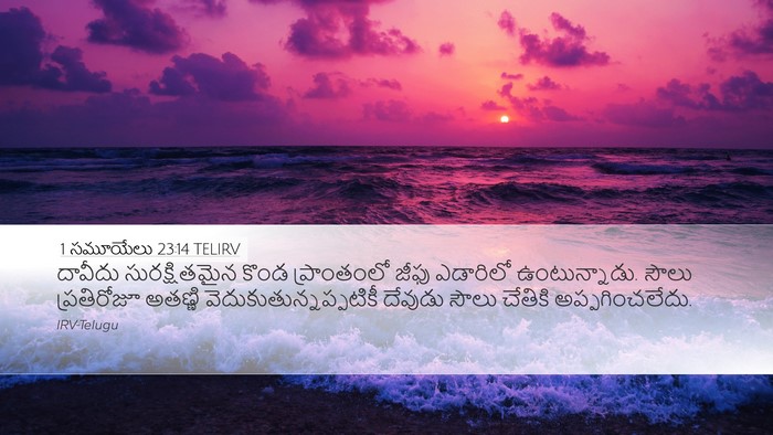 1 సమూయేలు 23:14 TELIRV Bible Verse Image