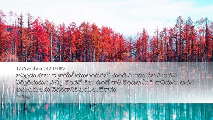 1 సమూయేలు 24:2 TELIRV Bible Verse Image