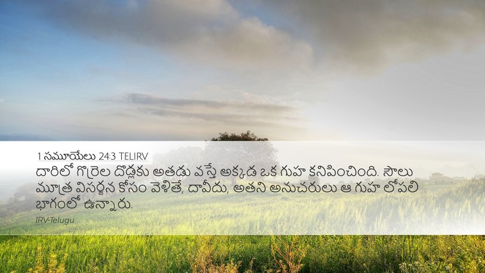 1 సమూయేలు 24:3 TELIRV Bible Verse Image