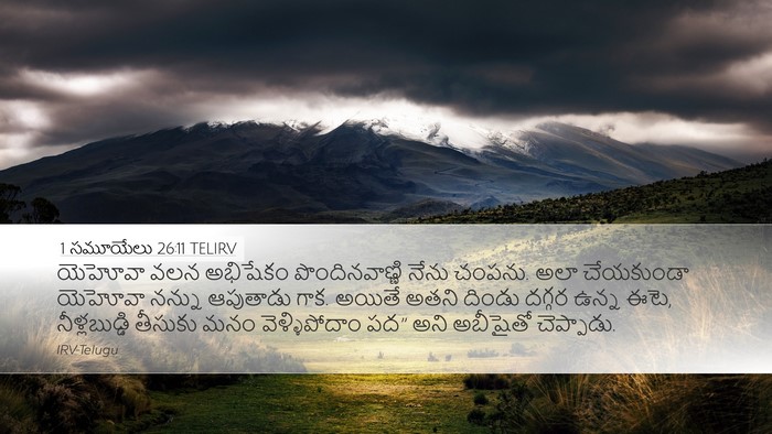 1 సమూయేలు 26:11 TELIRV Bible Verse Image
